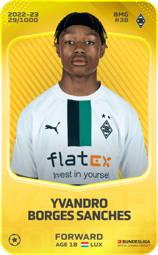 yvandro-borges-sanches-2022-limited-29