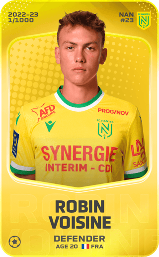 Robin Voisine