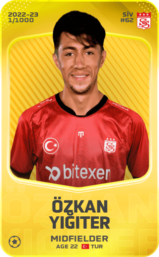 Özkan Yiğiter