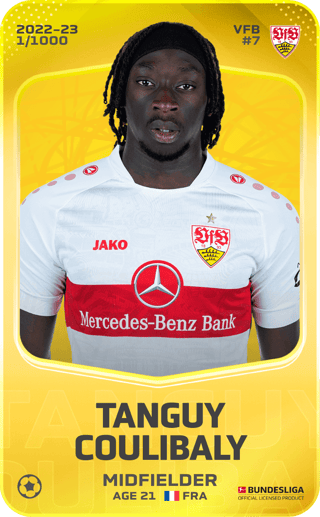 Tanguy Coulibaly