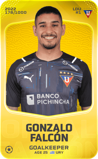 Gonzalo Falcón - limited