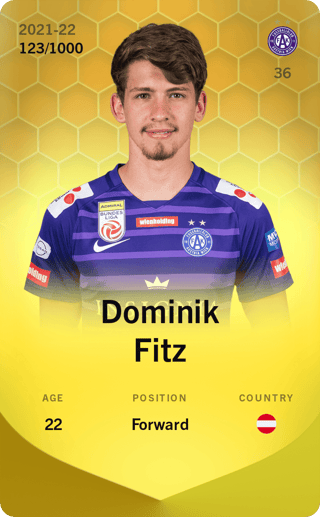 Dominik Fitz - limited