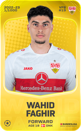 Wahid Faghir