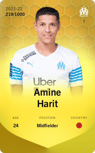 amine-harit-2021-limited-219