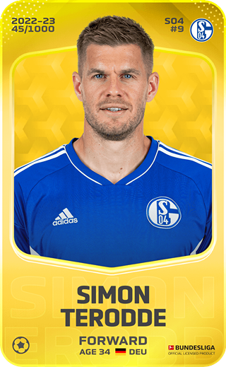 Simon Terodde - limited