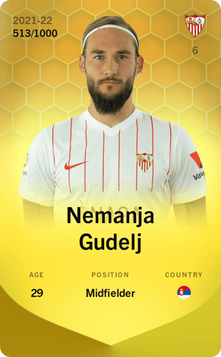 Nemanja Gudelj - limited