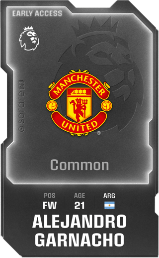 Alejandro Garnacho - common