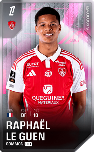 Raphaël Le Guen - common