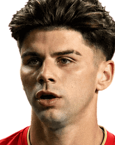 Max Arfsten