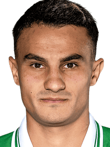 Haris Ismailcebioglu