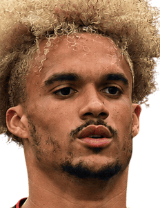 Antonee Robinson