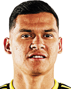 Marcelo Andrés Herrera