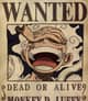 Leyflow D.Luffy 🏴‍☠️