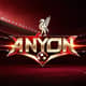 Anyon