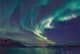 Harg | Sorare Norway 🇳🇴