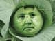 Tommy Turtle