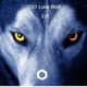 CG1LoneWolf