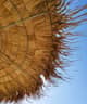 hights