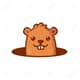 Ground Hog