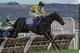 Altoon23-
