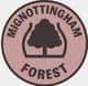 Mignottingham Forest F.C.