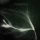 Laniakea