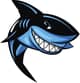 Shark City