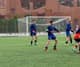 ajaxisgoat