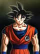 GOKU8314