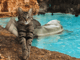 Blue lagoon