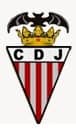 alexrodrigues-1