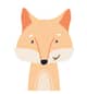 Mr.Fox