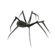 CryptoSpider