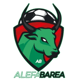 Barea_31