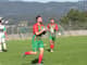 Santinhos6