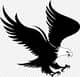 Eagle2020