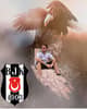 Volkan Akpinar