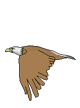 mattep100