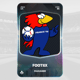 Footiix