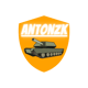 AntonZK