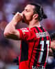 Capordie