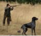 snipper_278