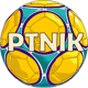 Ptnik