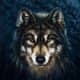 TheWOLF TR