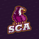 scaonsorare
