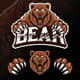 Bewarethebear 