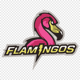PlnkFlamlngo