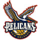 French Pelican