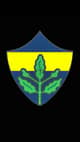 Borealis FC