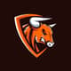 NRGi_Bullz